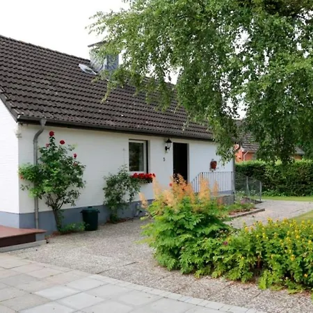 Schlei *